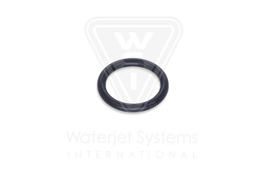EW10074367_03, O-RING, RETAINING FLANGE - Ricambi e asistenza per impianti Waterjet
