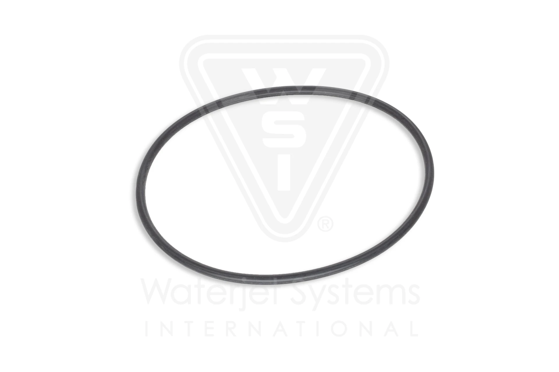 EW10074516_03, O-RING, CYLINDER, CP3 - Ricambi e asistenza per impianti Waterjet